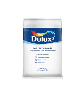 Bột trét tường cao cấp ngoại thất Dulux Putty - A502